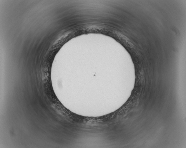 X0000113360824200909291028