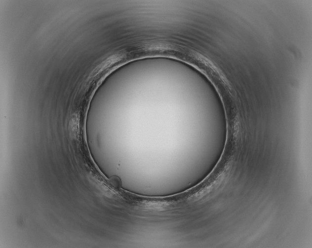 X0000113360825200909291028