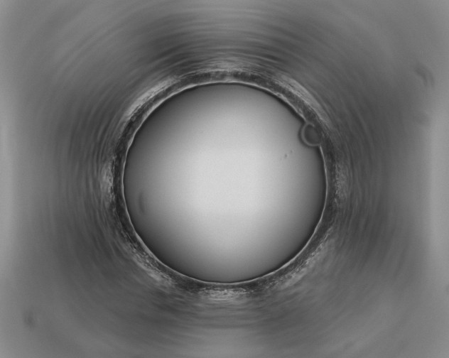 X0000113360826200909291028