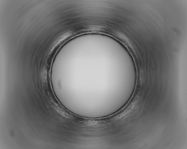 X0000113360827200909291028