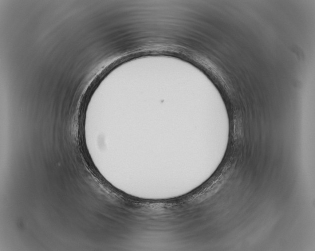 X0000113360828200909291028