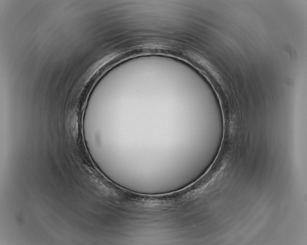 X0000113360829200909291028