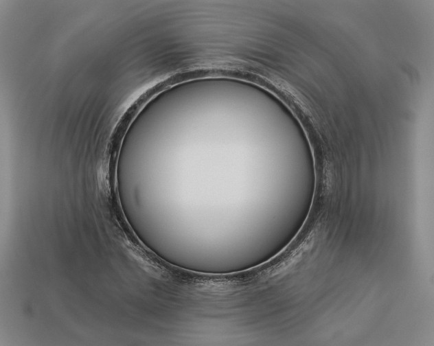 X0000113360830200909291028