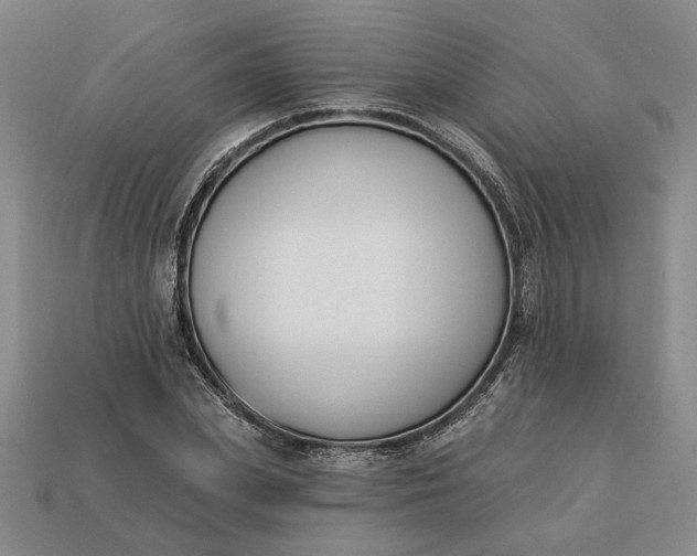 X0000113360831200909291028