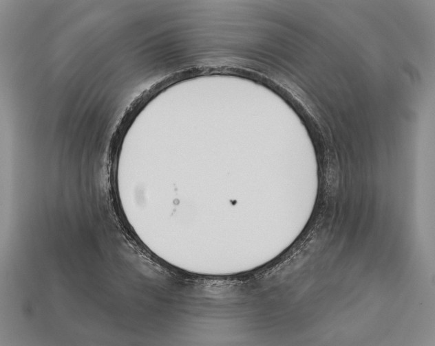 X0000113360832200909291028