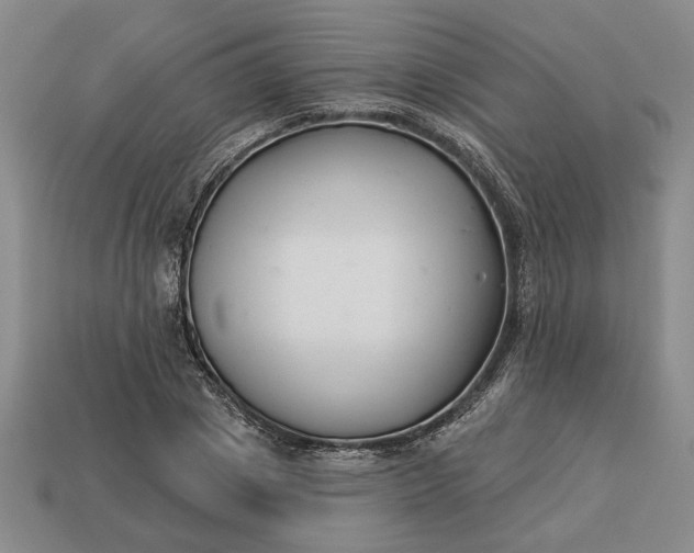 X0000113360833200909291028