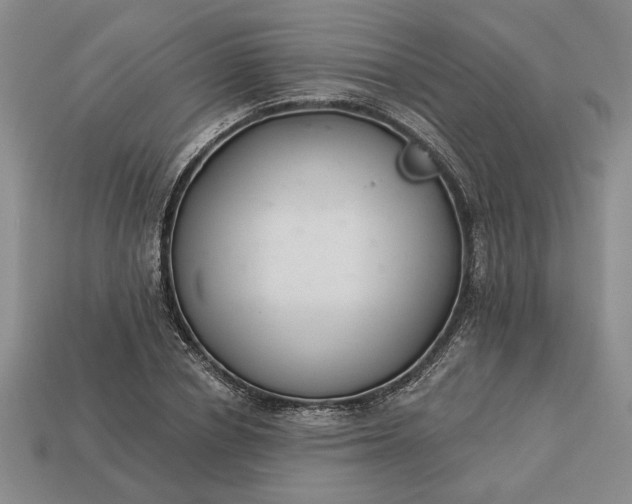 X0000113360834200909291028