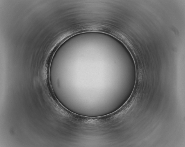 X0000113360835200909291028