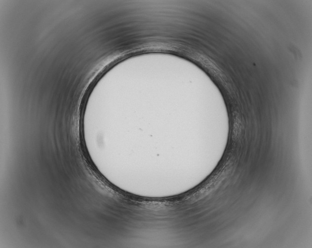 X0000113360836200909291028