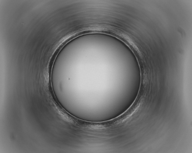 X0000113360837200909291028