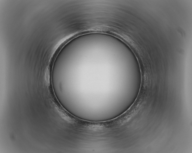 X0000113360838200909291028