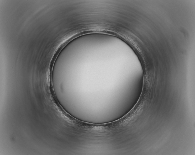 X0000113360839200909291028