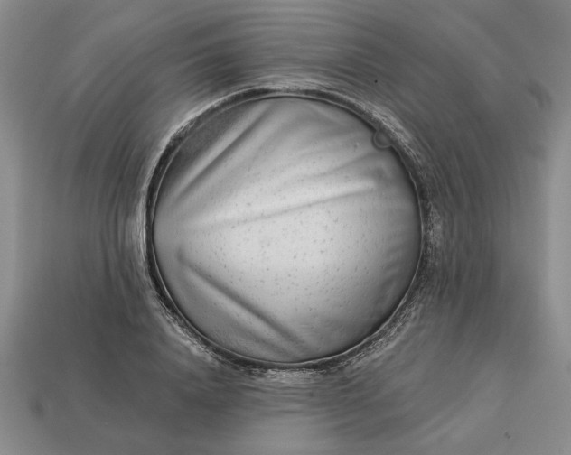 X0000113360840200909291028