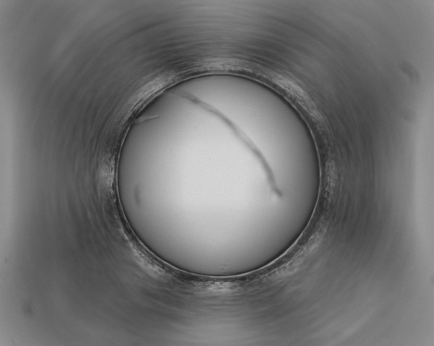 X0000113360841200909291028