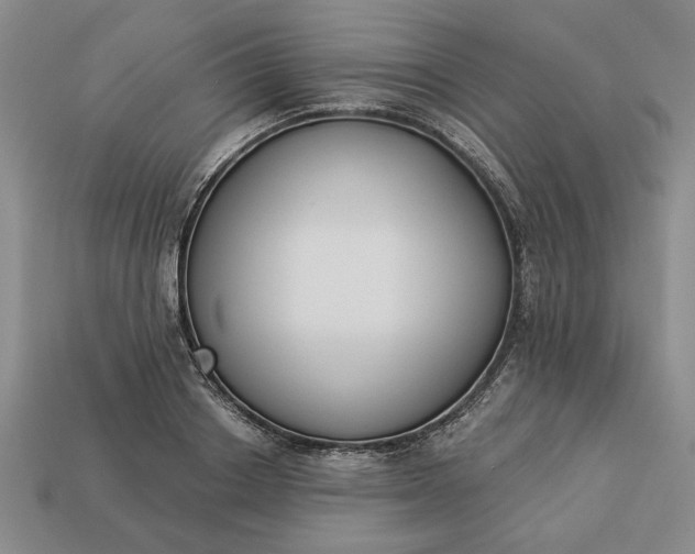 X0000113360842200909291028