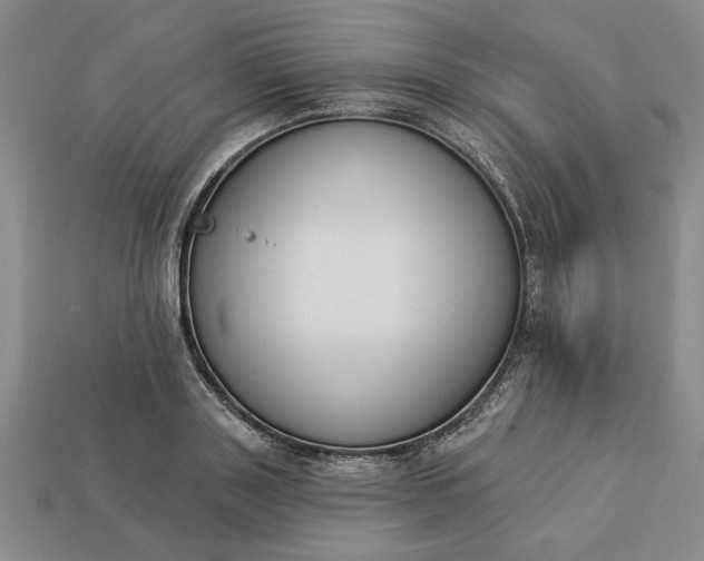 X0000113360843200909291028