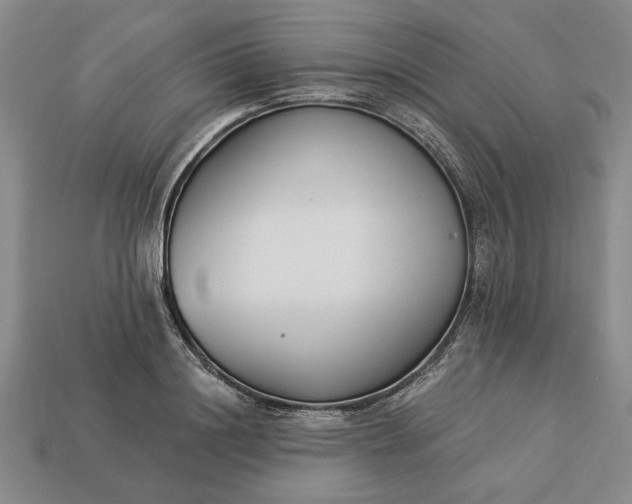 X0000113360844200909291028