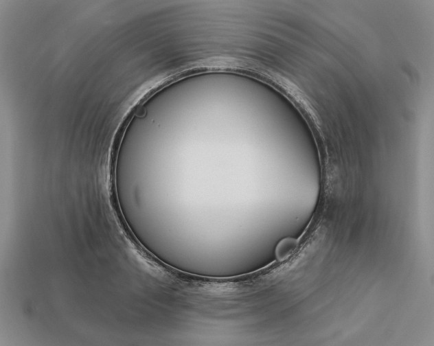 X0000113360845200909291028