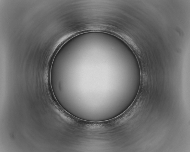 X0000113360846200909291028