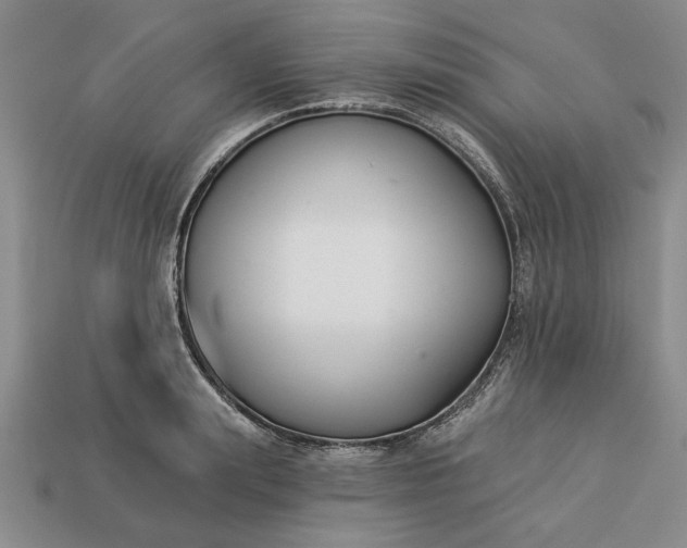 X0000113360847200909291028