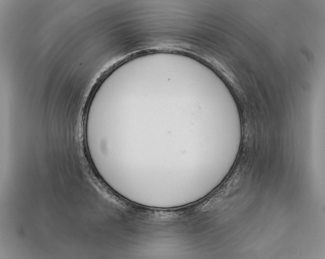 X0000113360848200909291028