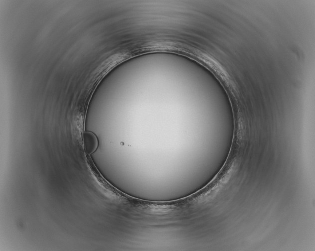 X0000113360849200909291028