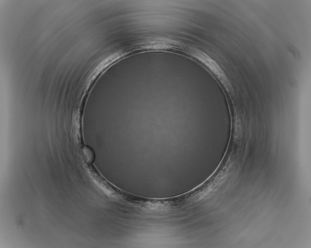 X0000113360850200909291028