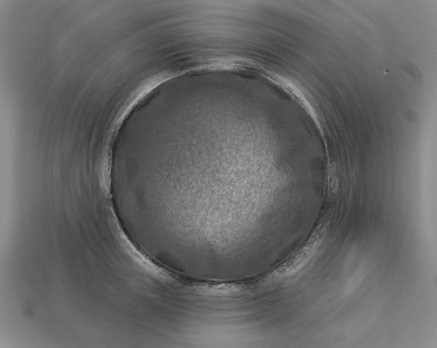 X0000113360851200909291028