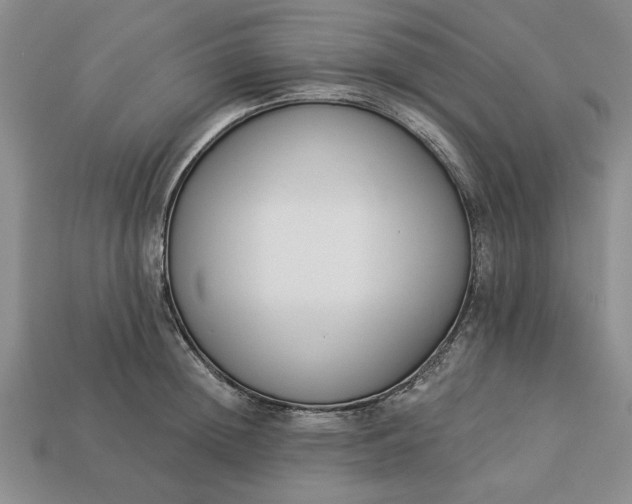 X0000113360852200909291028