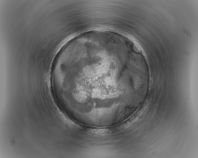 X0000113360853200909291028