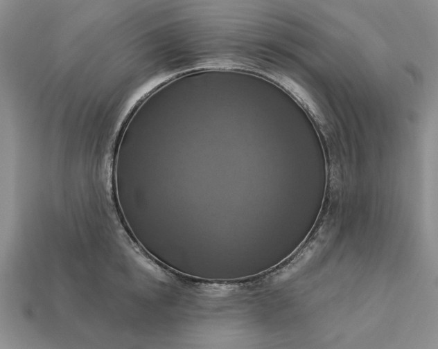 X0000113360854200909291029