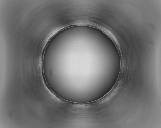 X0000113360855200909291029