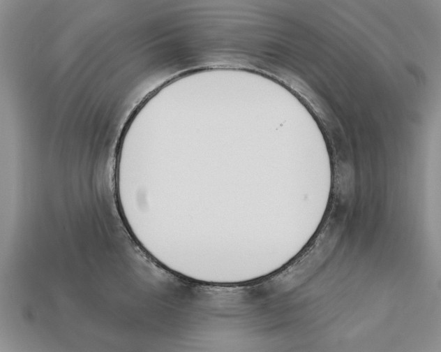 X0000113360856200909291029