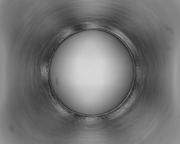 X0000113360857200909291029