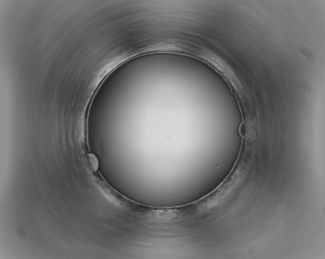 X0000113360858200909291029