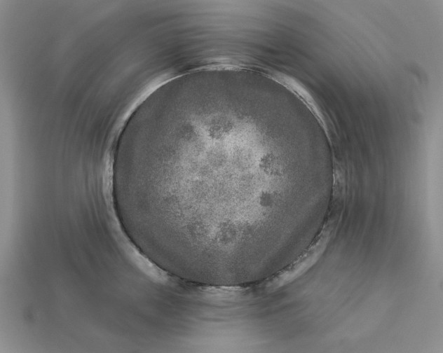 X0000113360859200909291029