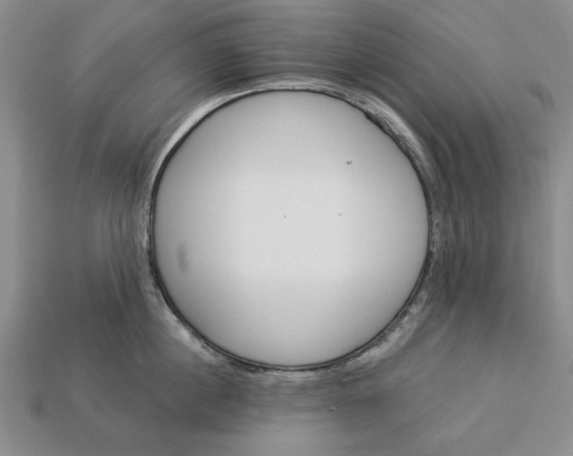 X0000113360860200909291029