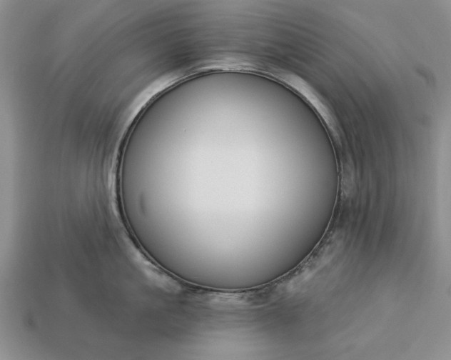 X0000113360861200909291029