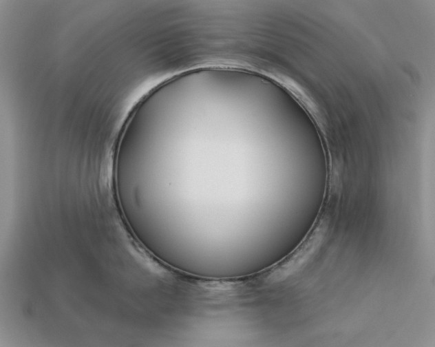 X0000113360862200909291029