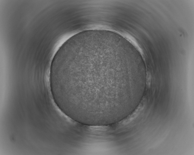 X0000113360863200909291029