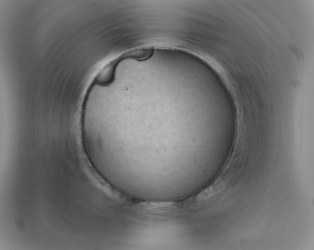 X0000113360864200909291029