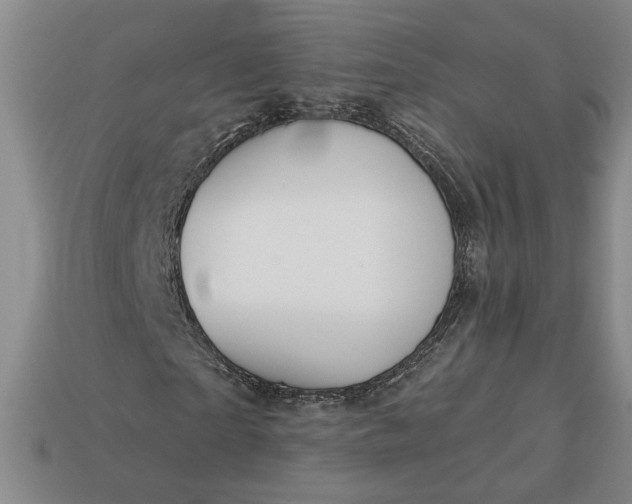 X0000113360865200909291028