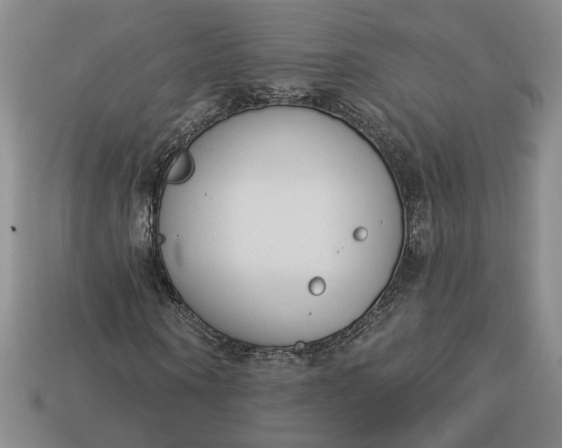 X0000113360866200909291028