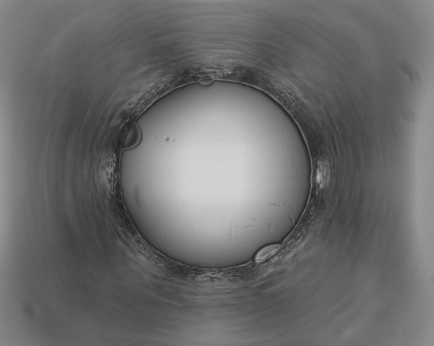 X0000113360867200909291028