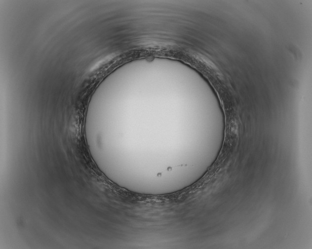 X0000113360869200909291028