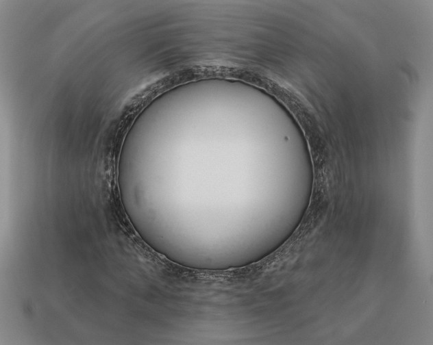 X0000113360870200909291028