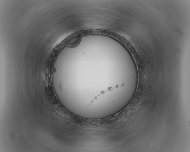 X0000113360871200909291028