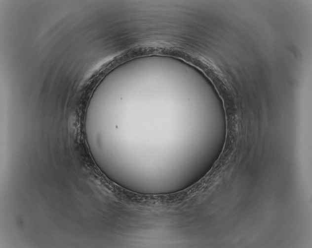 X0000113360872200909291028