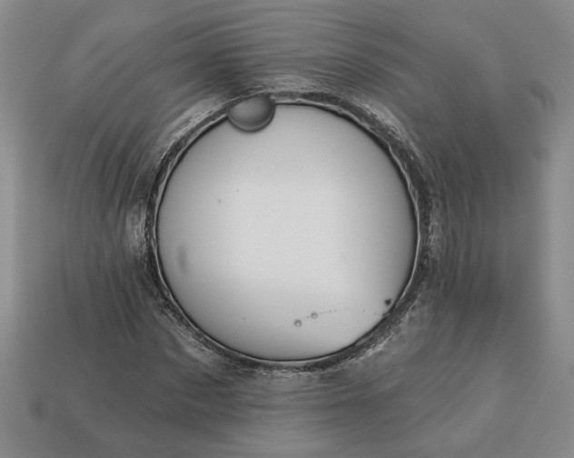 X0000113360873200909291028