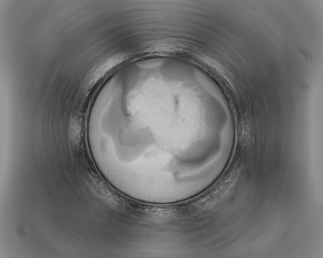 X0000113360874200909291028